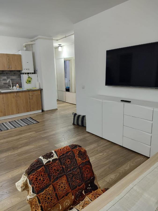 Casa Ioana Lejlighed Târgu-Mureş Eksteriør billede