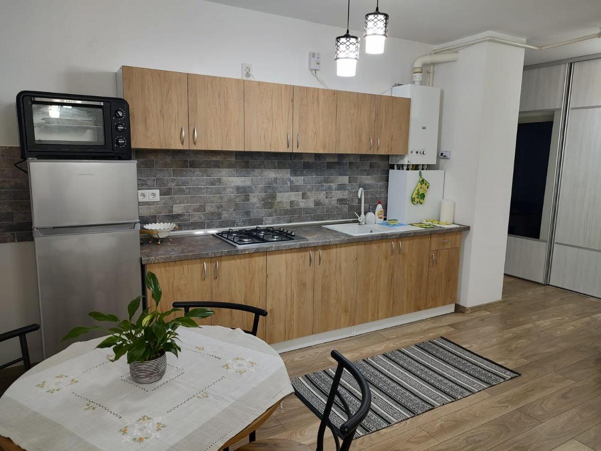 Casa Ioana Lejlighed Târgu-Mureş Eksteriør billede