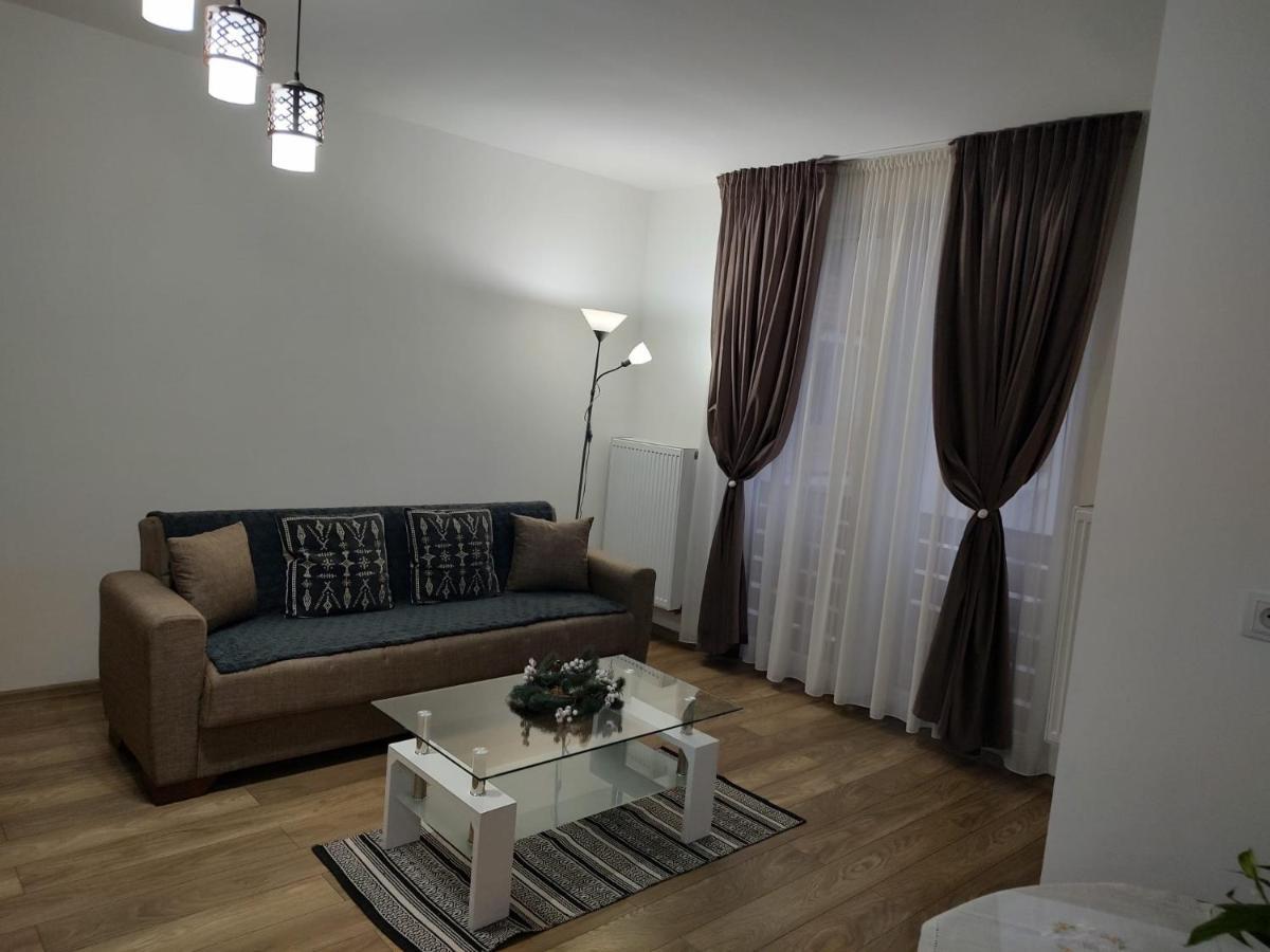 Casa Ioana Lejlighed Târgu-Mureş Eksteriør billede
